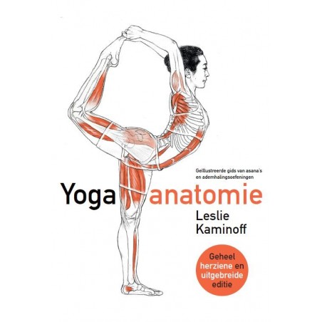 Yoga Anatomie