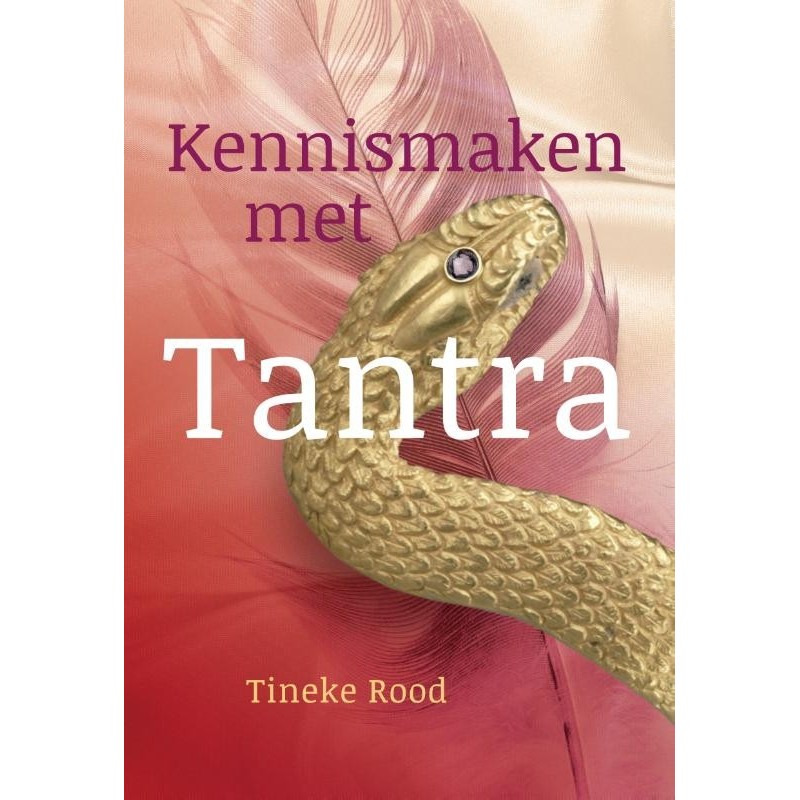 Kennismaken met tantra - Tineke Rood
