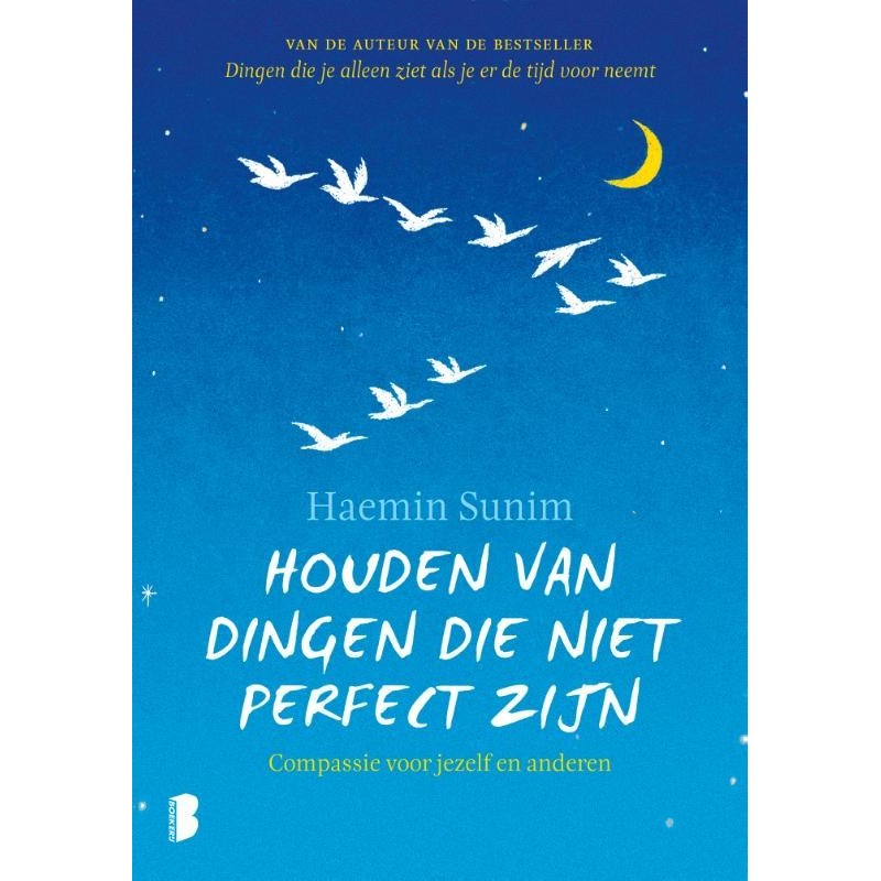 Houden van dingen die niet perfect zijn - Sunim