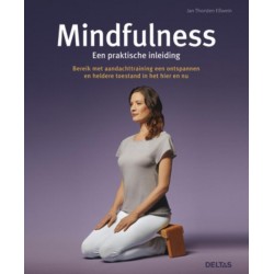 Mindfulness: Een Praktische Inleiding - Thorsten Esswein, J.