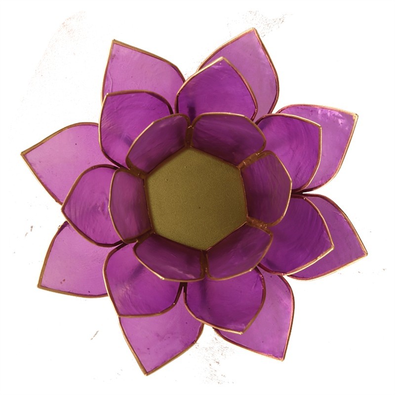 Lotus sfeerlicht lila