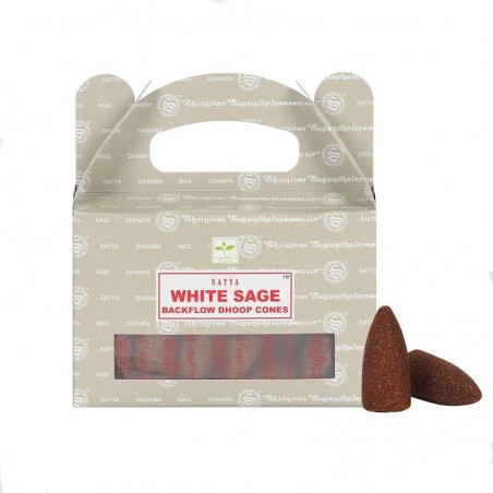 Backflow Wierook White Sage