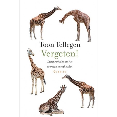 Vergeten! - Tellegen, T.