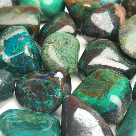 Chrysocolla - trommelsteen