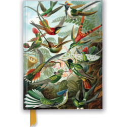 Haeckel - Hummingbirds A5